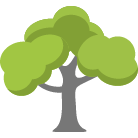 Tuscaloosa Tree Removal Service
