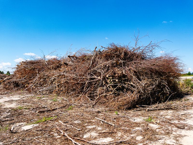 Clearing Debris