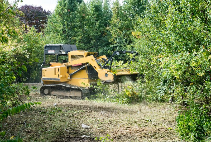 Equipment for Tree Removal