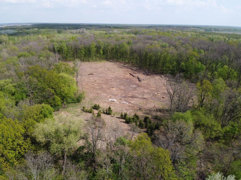 Clearing a Property