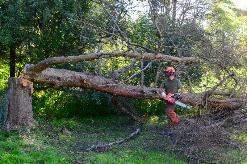 Assessing Tree Risks